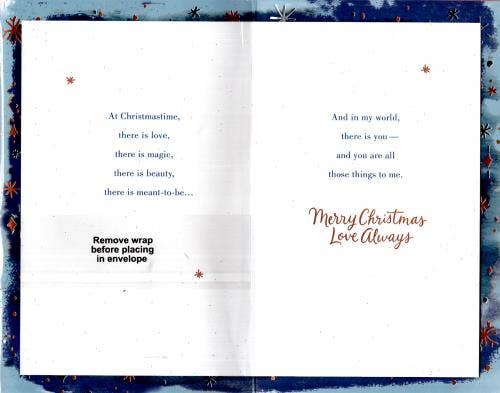 Christmas Wife | AGTC | SX06927350S