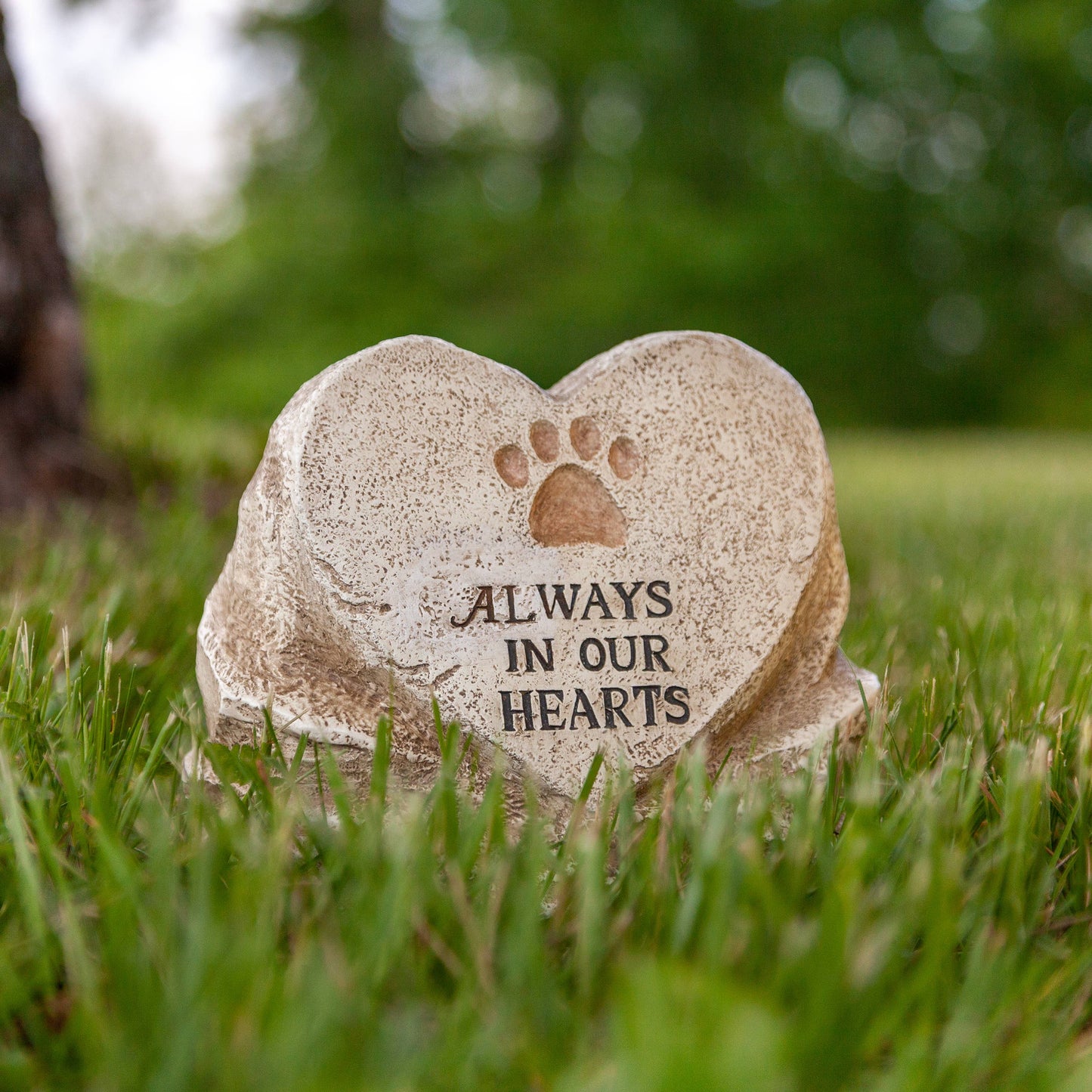 The Gerson Companies - Gerson 9"L x 6"H Resin "Always in Our Hearts" Paw Print Memo