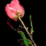 The Rose Lady Gold Trimmed Salmon Pink Rose