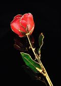 Rose Lady Gold Trimmed Rose In Sonia Pearl