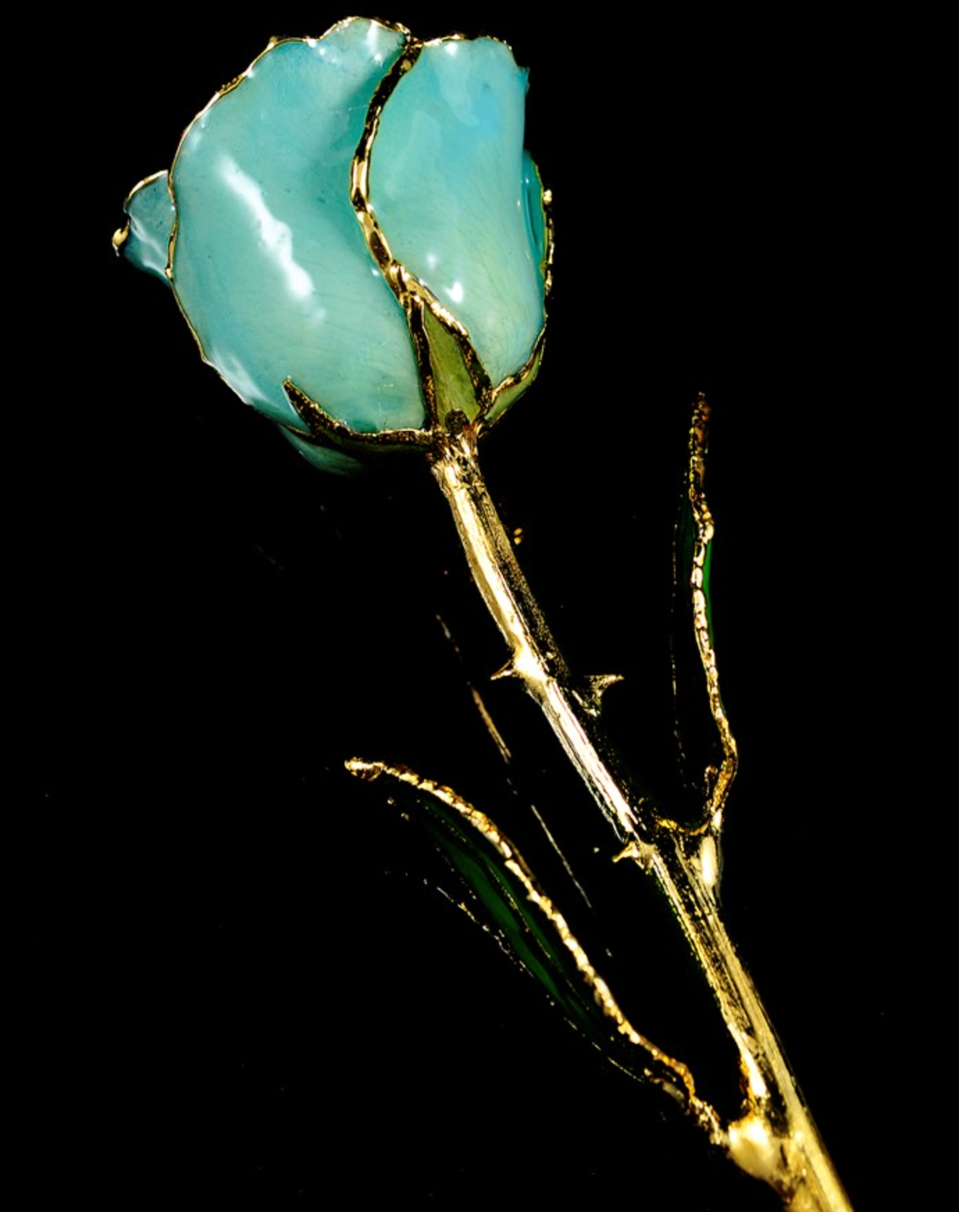 Gold Trimmed Rose in Aquamarine