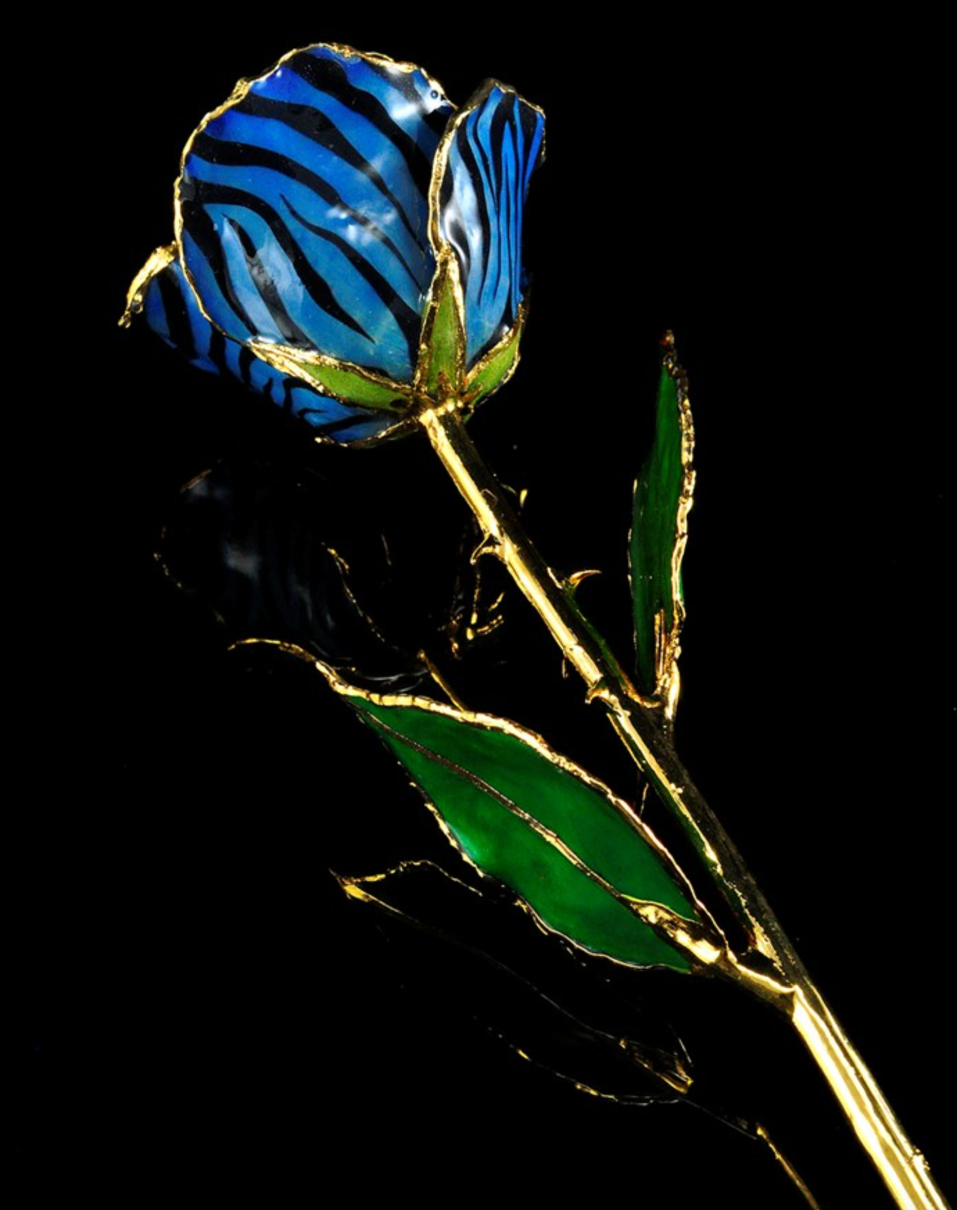 Gold Trimmed Rose in Blue and Black Zebra Stripes