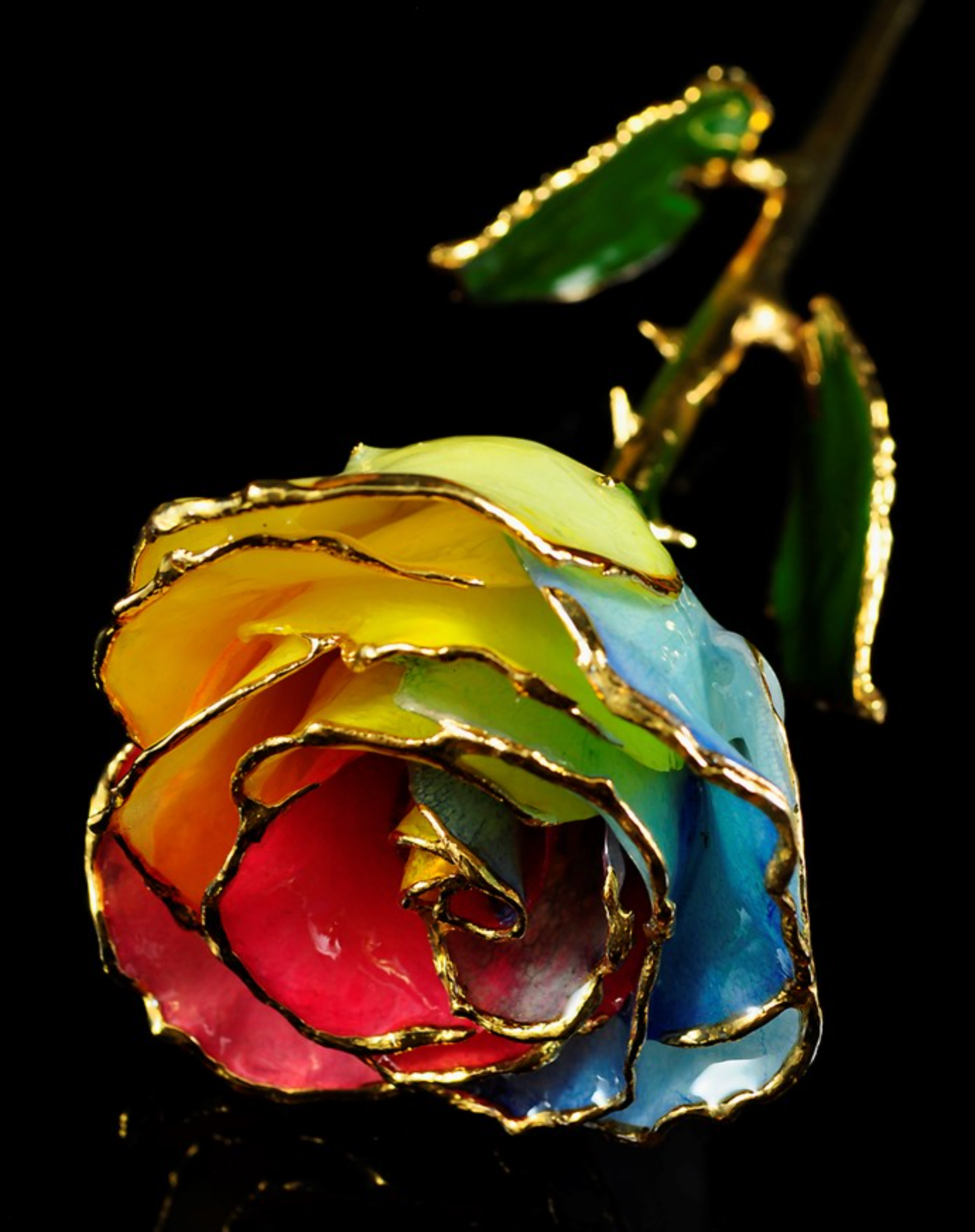 Gold Trimmed Rose in Tri Color