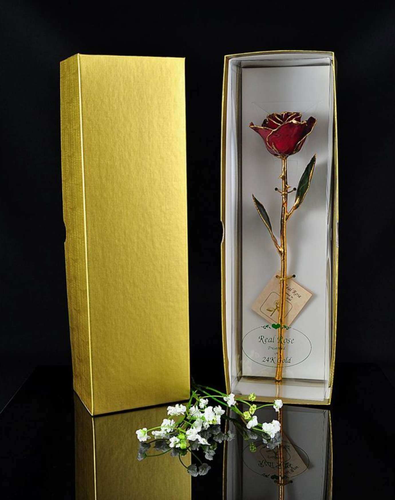 Gold Trimmed Rose in Burgundy