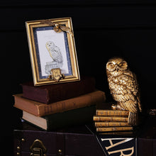Load image into Gallery viewer, WIDDOP and Co. - Warner Bros Harry Potter Alumni Gold Photo Frame Hedwig
