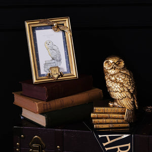 WIDDOP and Co. - Warner Bros Harry Potter Alumni Gold Photo Frame Hedwig