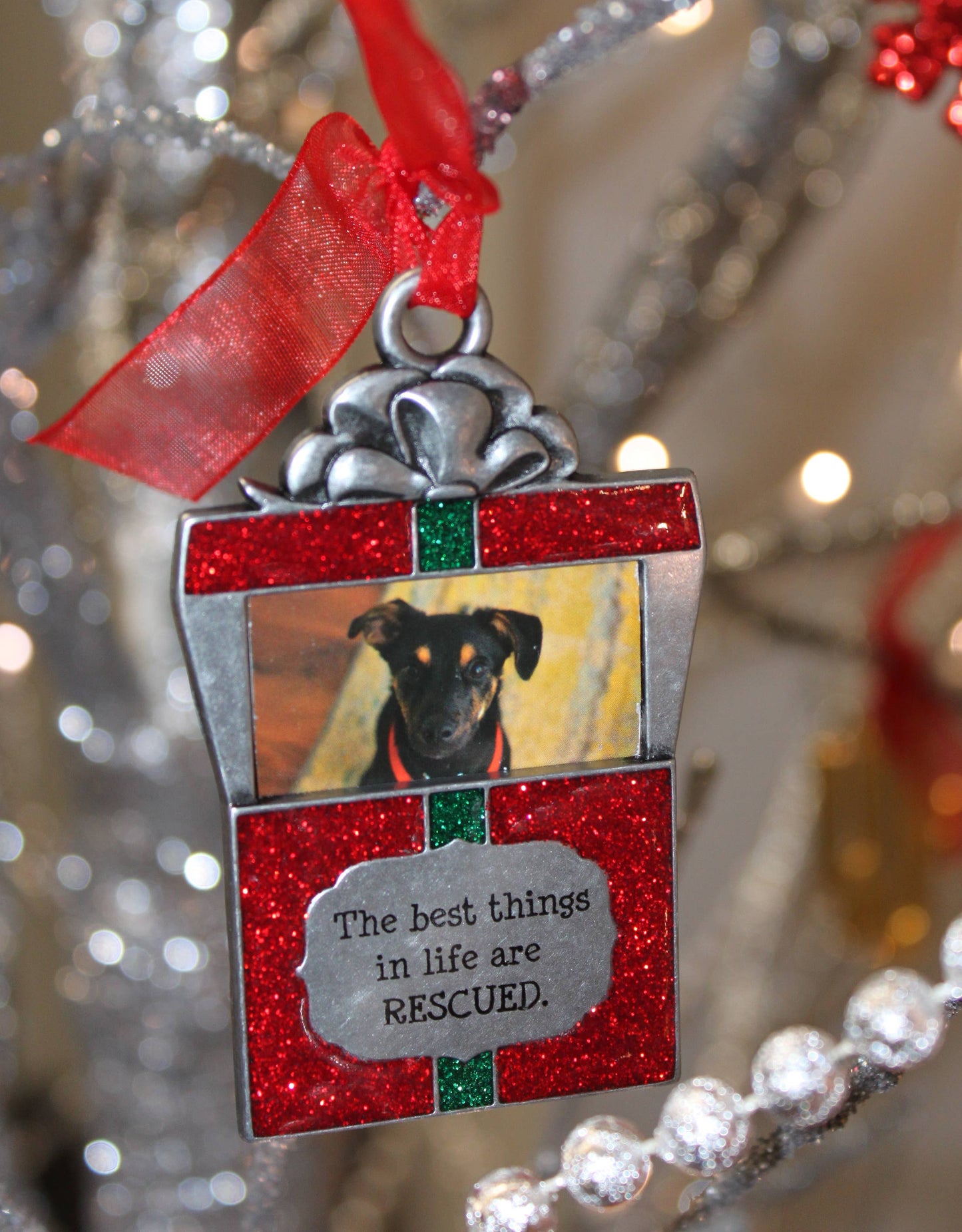 Gloria Duchin - Pet Rescue Photo Frame Ornament