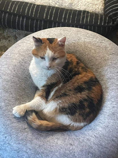 Lightning Dog - Bagel Bed - Action Tunnel/Bed - XL Grey 