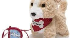 Toby Walking Buddies