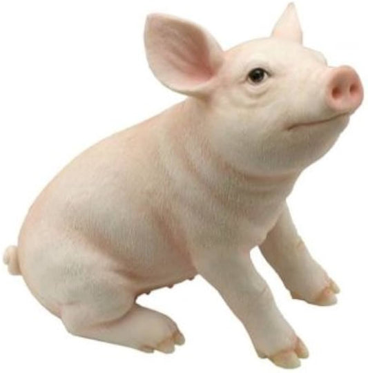 Unicorn Studio Baby Pig