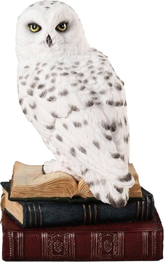 Unicorn Studio Snowy Owl Perching On Stack Of Books