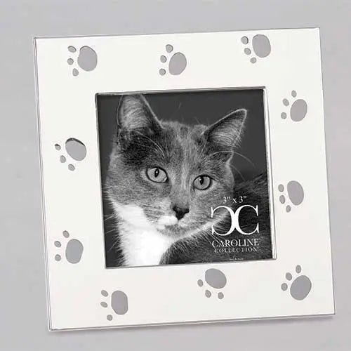 Cat Photo Frame