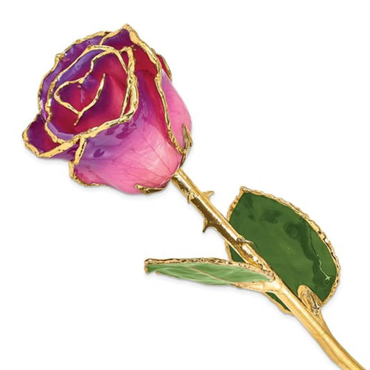 The Rose Lady Pink Amethyst Gold Trimmed Rose