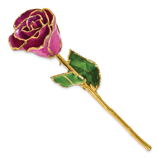 The Rose Lady 24KT Gold Plum Rose With Lavender Sparkles
