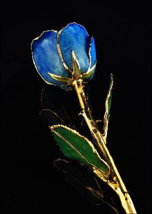 Rose Lady Blue Rose With Gold Trim