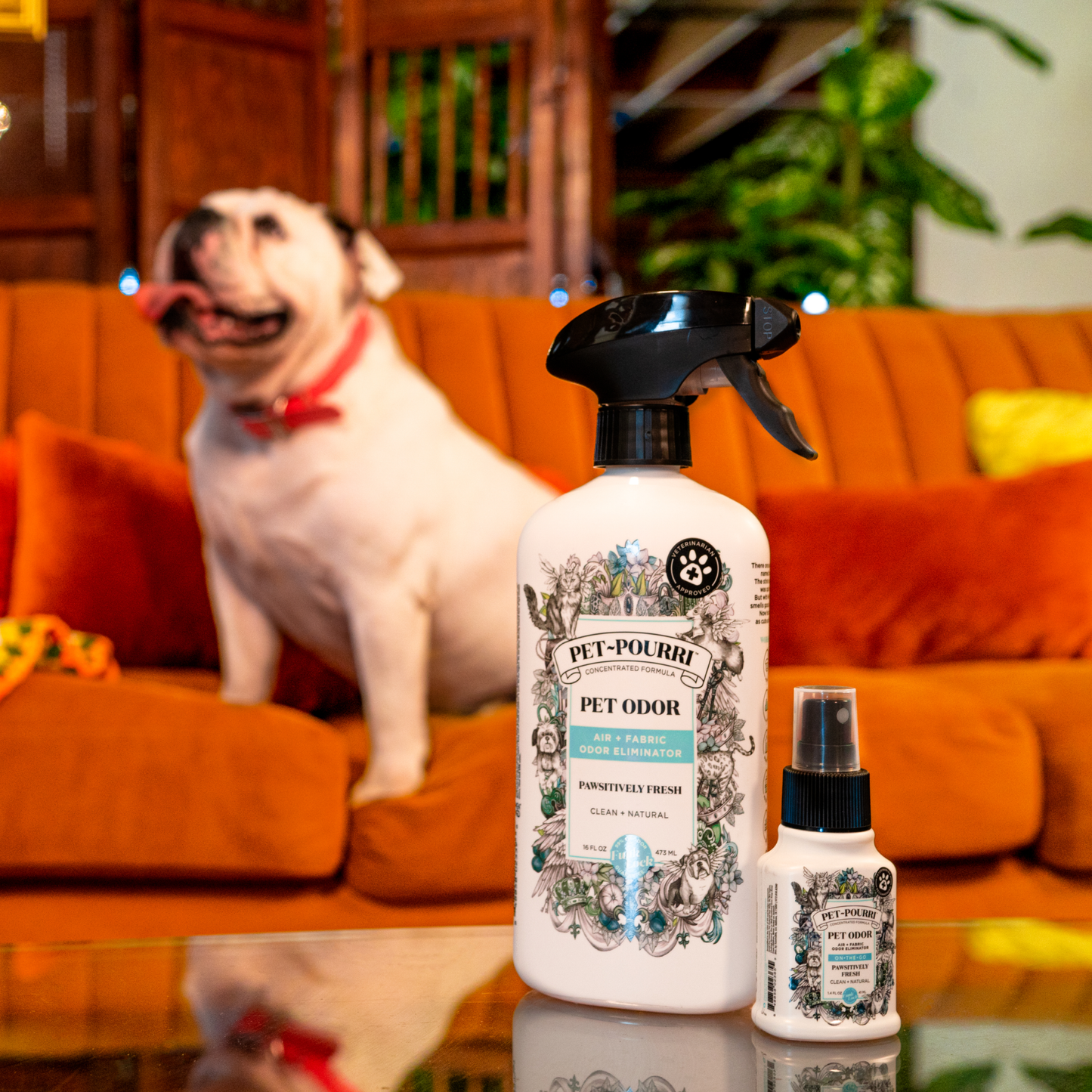 ~Pourri - Pet~Pourri Pawsitively Fresh Air + Fabric Odor Eliminator 16 OZ