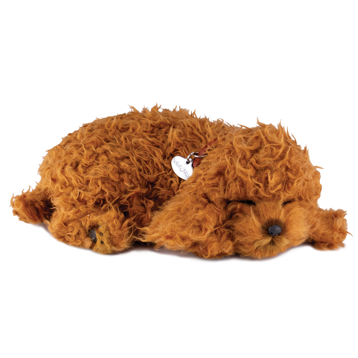 88Unlimited/Perfect Petzzz - 16Original - Toy Poodle