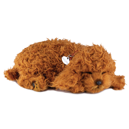 88Unlimited/Perfect Petzzz - 16Original - Toy Poodle