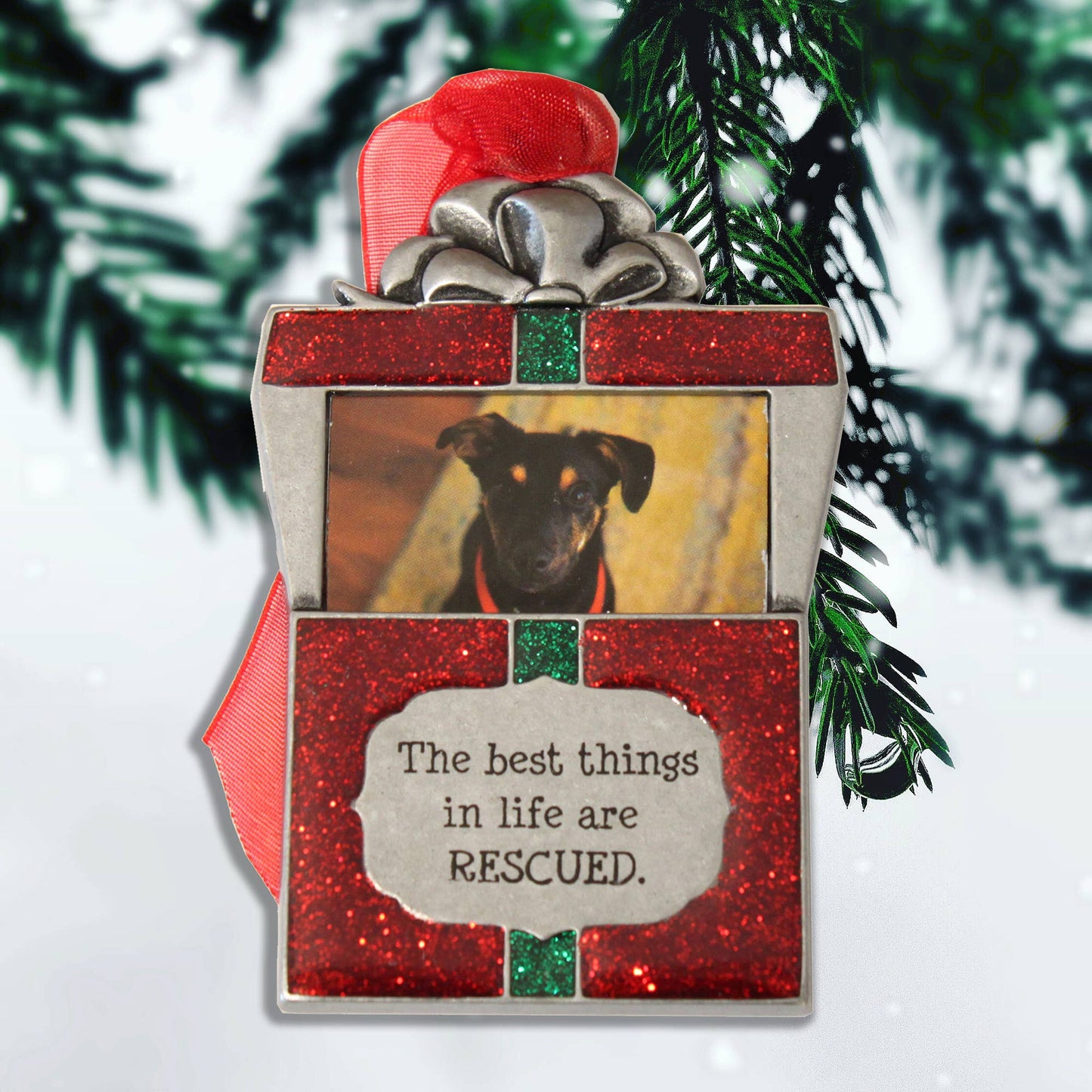 Gloria Duchin - Pet Rescue Photo Frame Ornament