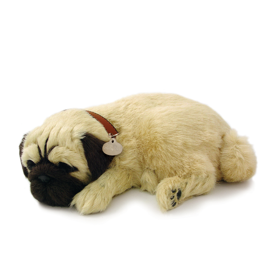 Perfect Petzzz - 04Original - Pug