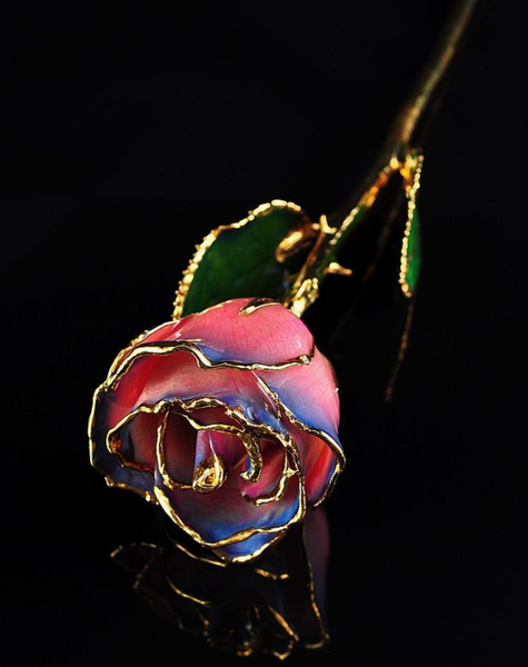 Gold Trimmed Rose in Pink/Navy Blue