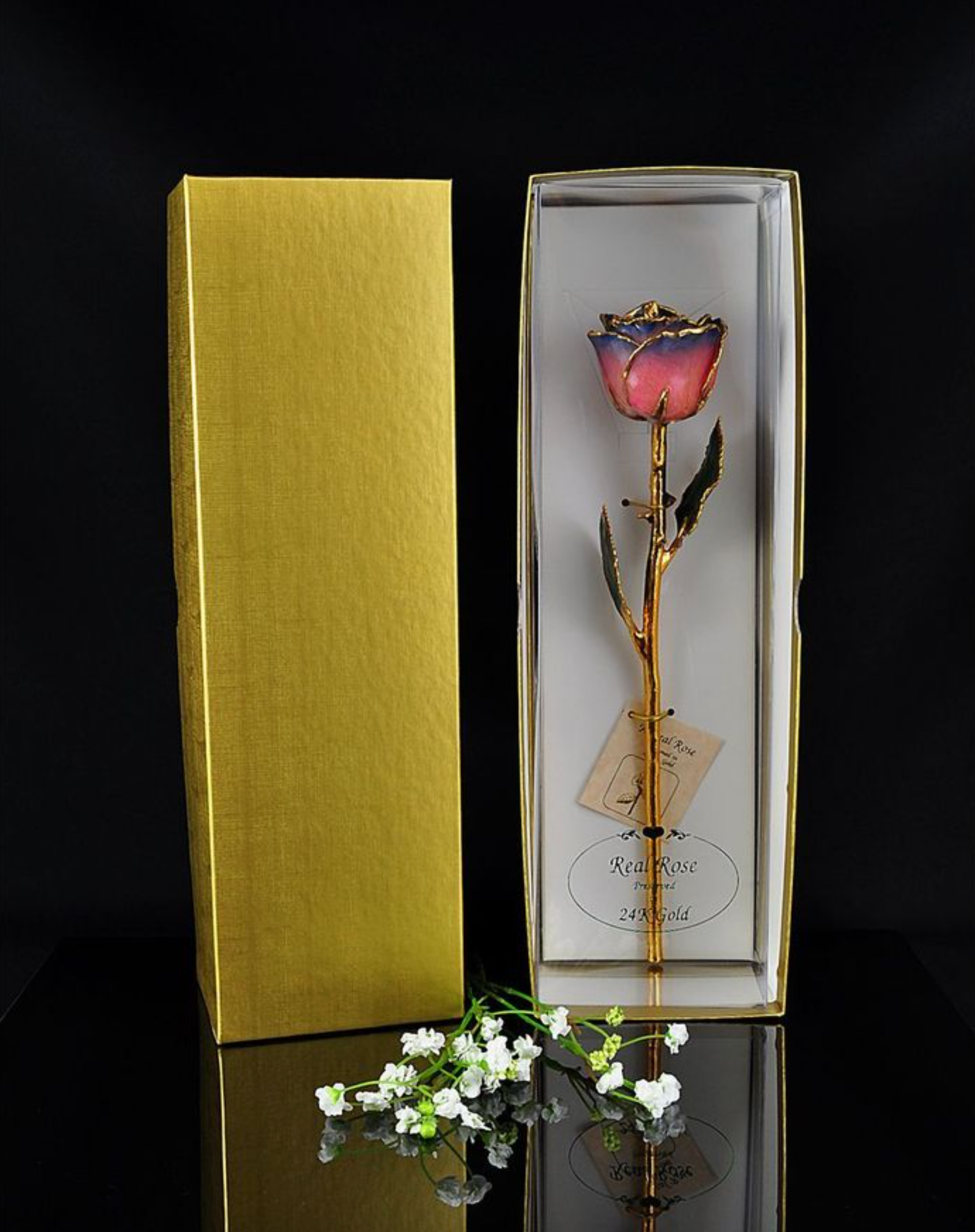 Gold Trimmed Rose in Pink/Navy Blue