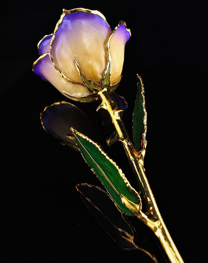 Gold Trimmed Rose in White/Blue Opal