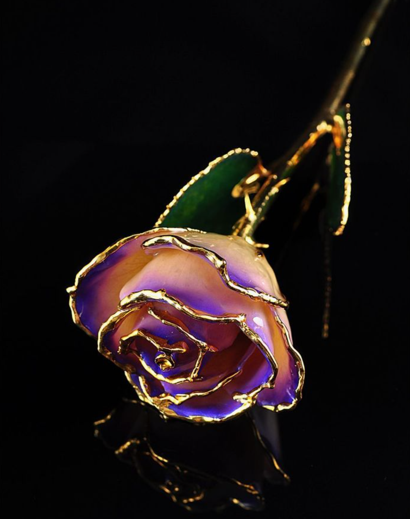 Gold Trimmed Rose in White/Blue Opal