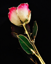 Load image into Gallery viewer, Gold Trimmed Rose in White/Burgundy
