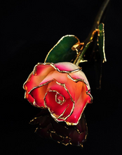 Load image into Gallery viewer, Gold Trimmed Rose in White/Burgundy
