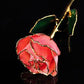 Rose Lady Gold Trimmed Pink Rose
