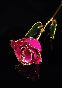 Rose Lady Gold Trimmed Rose in Fuchsia
