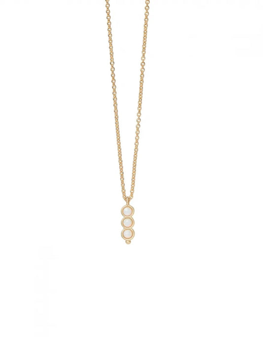 Spartina 449 Sea La Vie Seas The Day